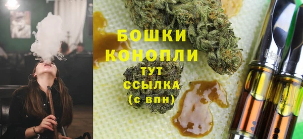 spice Вяземский